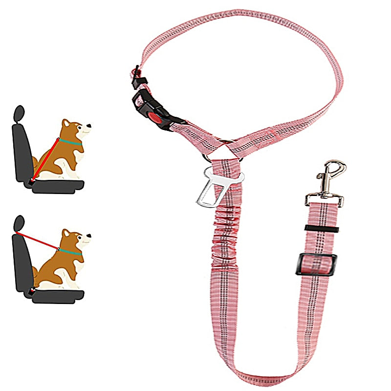 PetRider™ Seatbelt