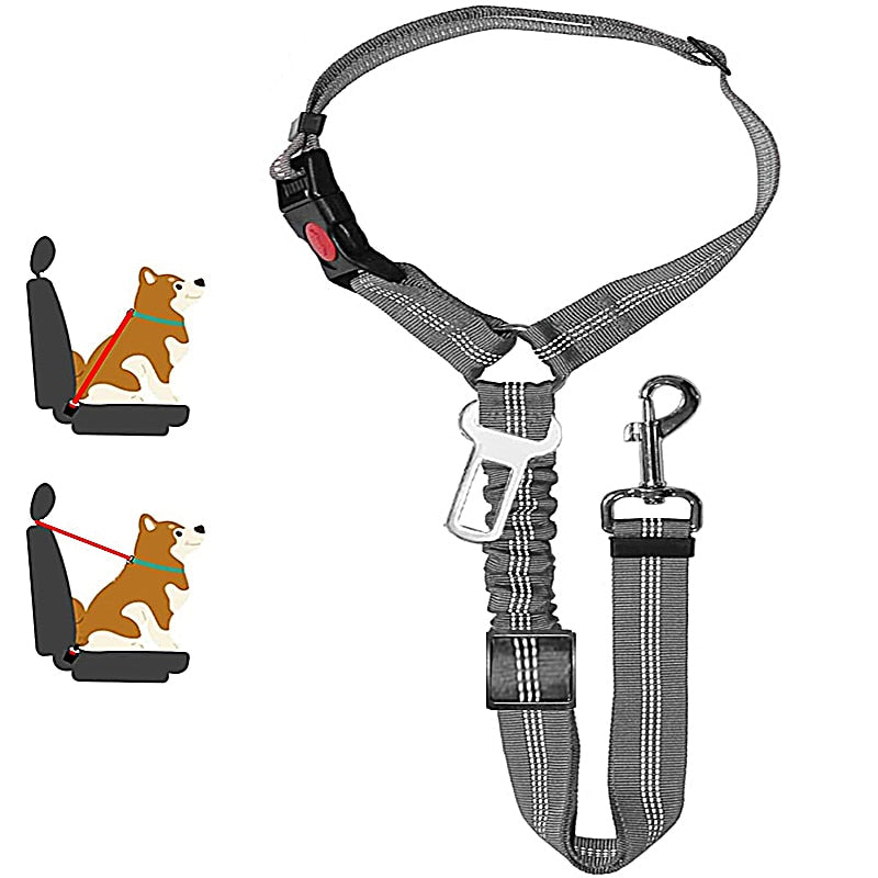 PetRider™ Seatbelt